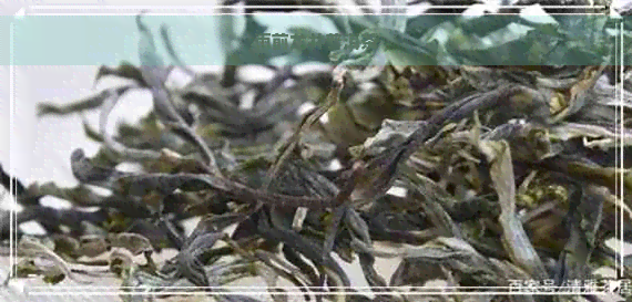 雨前龙井普洱茶