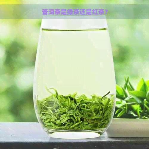 普洱茶是绿茶还是红茶？