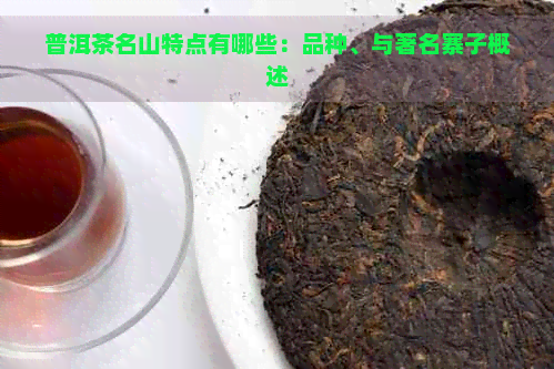 普洱茶名山特点有哪些：品种、与著名寨子概述