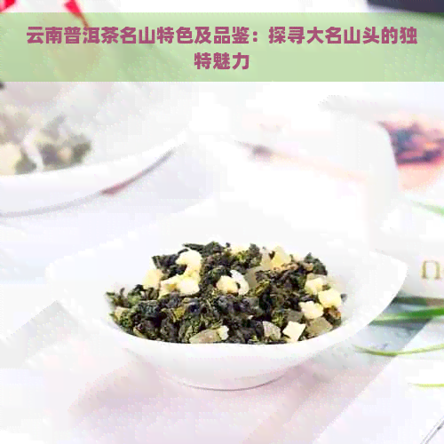 云南普洱茶名山特色及品鉴：探寻大名山头的独特魅力