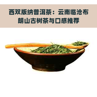 西双版纳普洱茶：云南临沧布朗山古树茶与口感推荐