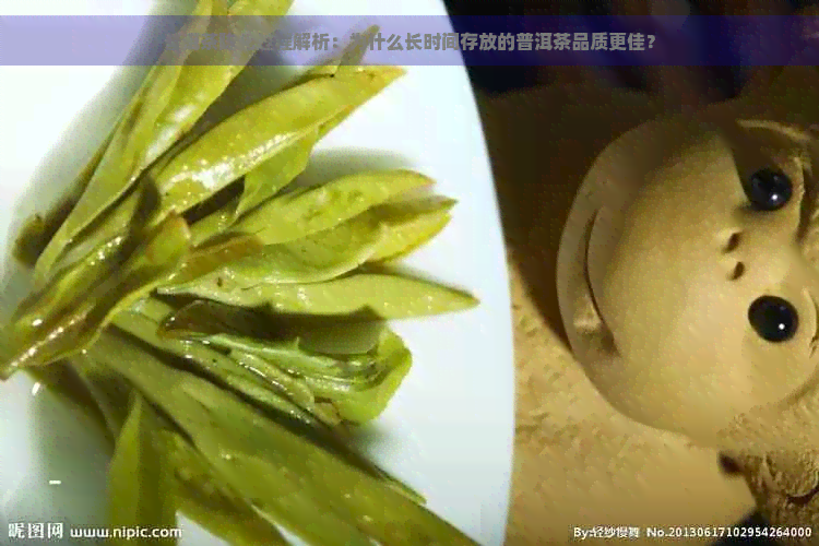 普洱茶陈化过程解析：为什么长时间存放的普洱茶品质更佳？