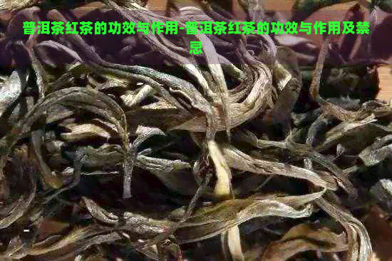 普洱茶红茶的功效与作用-普洱茶红茶的功效与作用及禁忌