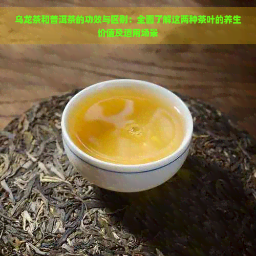 乌龙茶和普洱茶的功效与区别：全面了解这两种茶叶的养生价值及适用场景