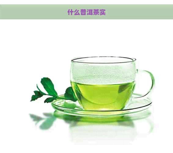 什么普洱茶实