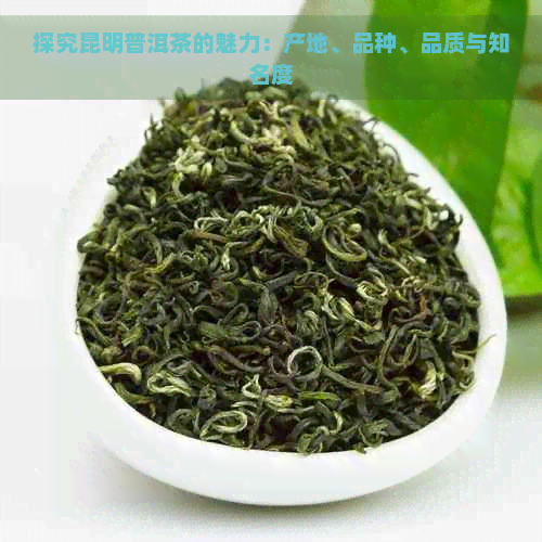 探究昆明普洱茶的魅力：产地、品种、品质与知名度