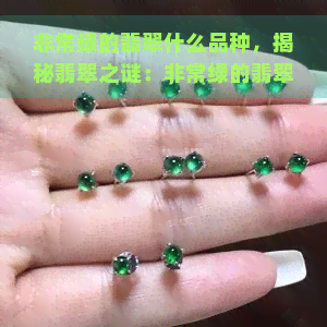 非常绿的翡翠什么品种，揭秘翡翠之谜：非常绿的翡翠是哪种品种？