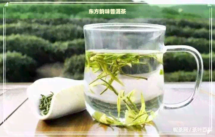 东方韵味普洱茶