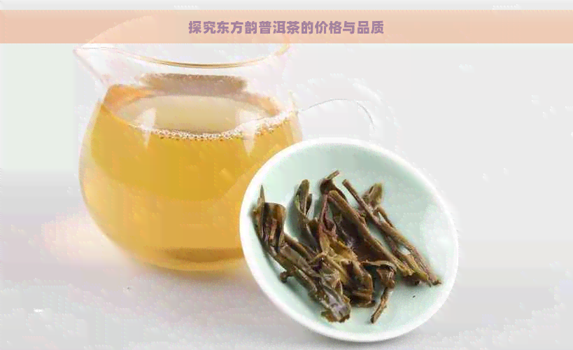 探究东方韵普洱茶的价格与品质