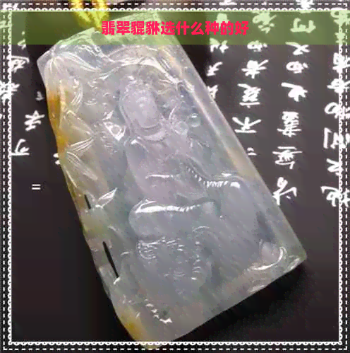 翡翠貔貅选什么种的好