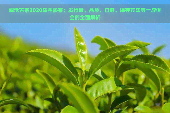 澜沧古茶2020乌金熟茶：发行量、品质、口感、保存方法等一应俱全的全面解析