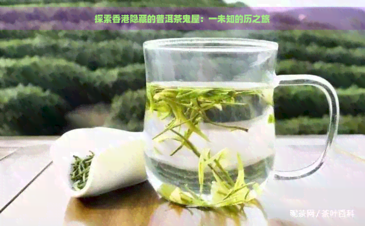 探索隐藏的普洱茶鬼屋：一未知的历之旅