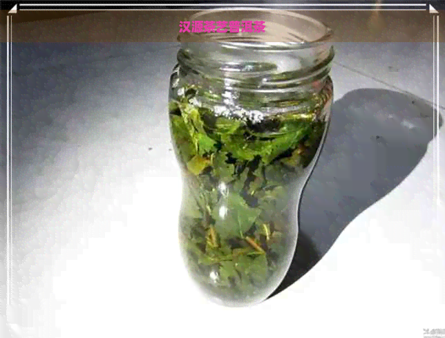 汉源茶艺普洱茶