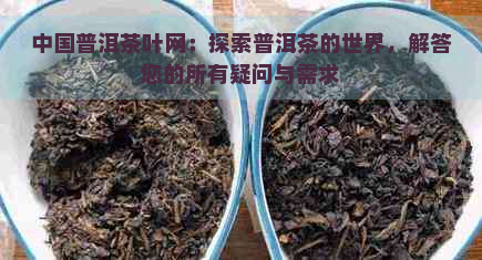 中国普洱茶叶网：探索普洱茶的世界，解答您的所有疑问与需求