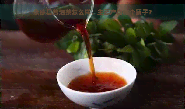 永德县普洱茶怎么样，主要产自哪个寨子？