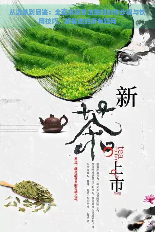 从选茶到品鉴：全面讲解普洱茶的制作步骤与饮用技巧，解答您的所有疑问