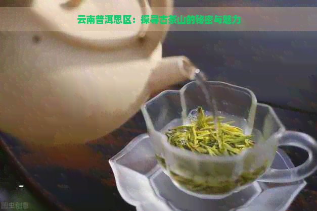 云南普洱思区：探寻古茶山的秘密与魅力