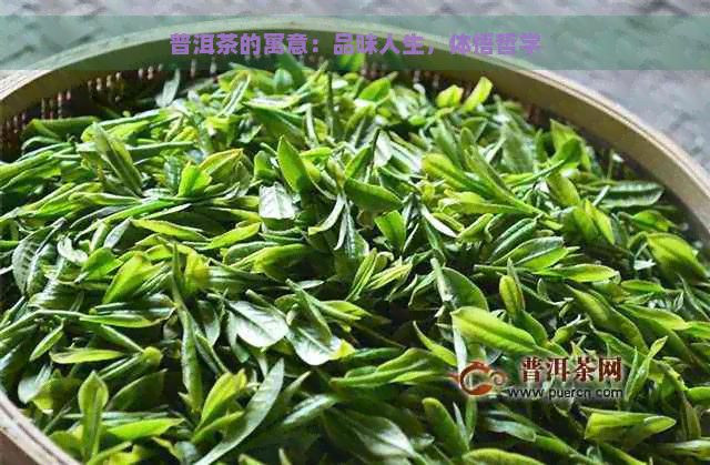 普洱茶的寓意：品味人生，体悟哲学