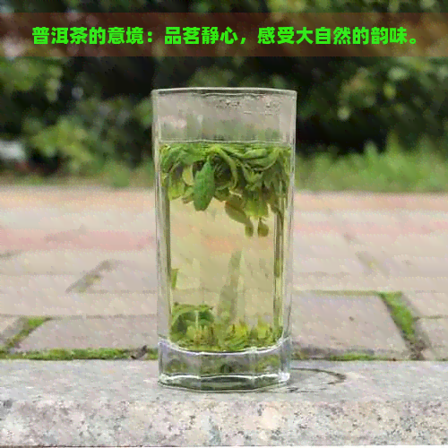 普洱茶的意境：品茗静心，感受大自然的韵味。