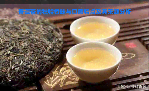 普洱茶的独特香味与口感特点及其来源分析