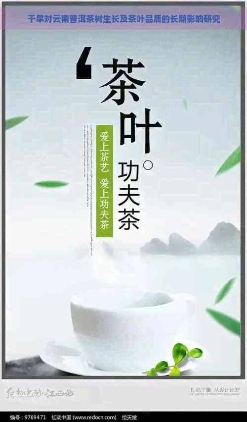 干旱对云南普洱茶树生长及茶叶品质的长期影响研究