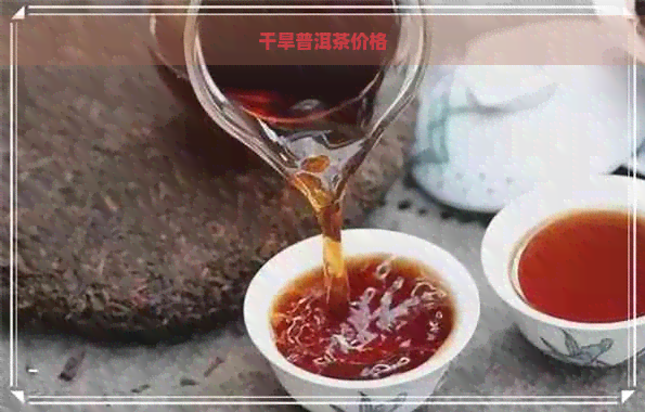 干旱普洱茶价格