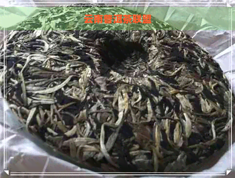 云南普洱茶联盟