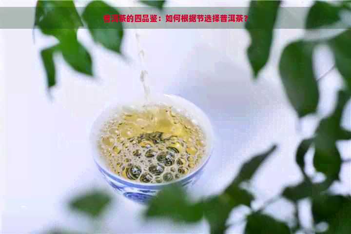 普洱茶的四品鉴：如何根据节选择普洱茶？