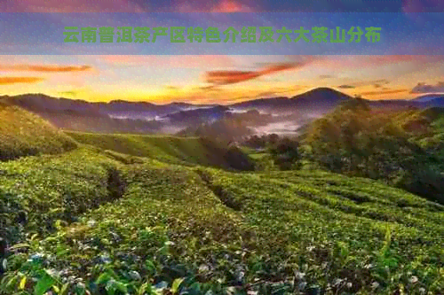 云南普洱茶产区特色介绍及六大茶山分布