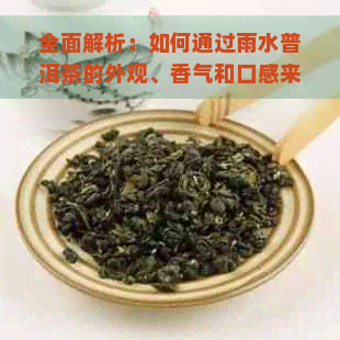 全面解析：如何通过雨水普洱茶的外观、香气和口感来分辨优质茶叶