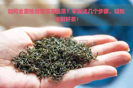 如何全面检验普洱茶品质？掌握这几个步骤，轻松鉴别好茶！