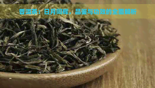 普洱茶：日月同辉，品鉴与功效的全面解析