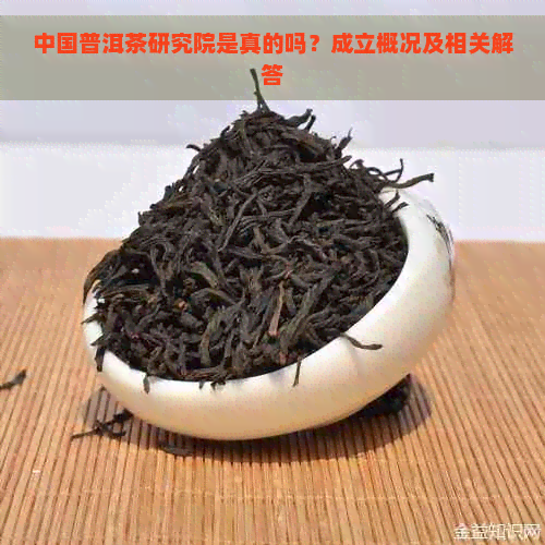 中国普洱茶研究院是真的吗？成立概况及相关解答