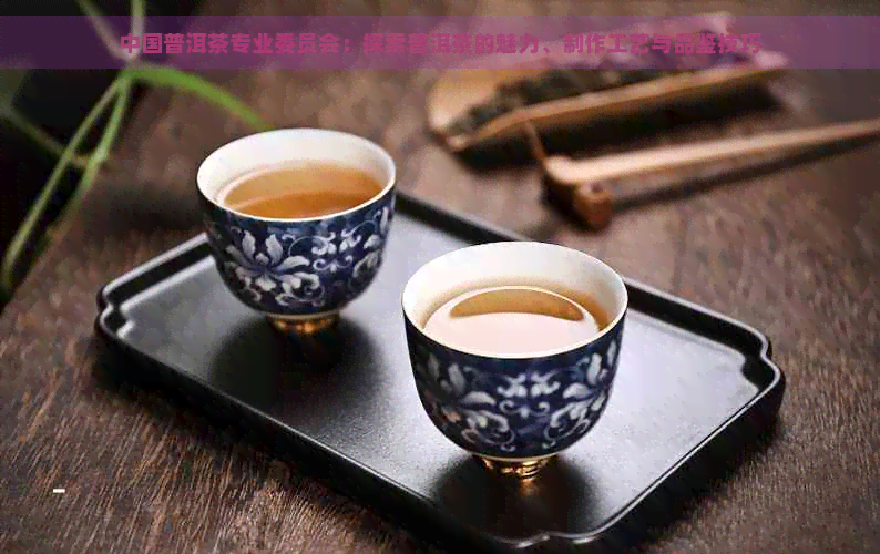 中国普洱茶专业委员会：探索普洱茶的魅力、制作工艺与品鉴技巧