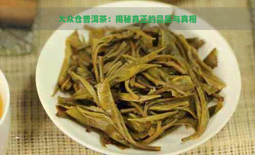 大众仓普洱茶：揭秘真正的品质与真相