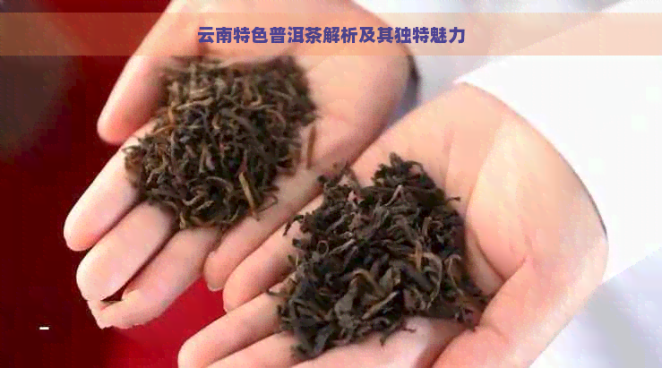 云南特色普洱茶解析及其独特魅力