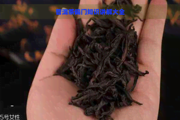 普洱茶偏门知识讲解大全