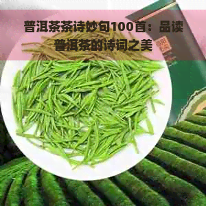 普洱茶茶诗妙句100首：品读普洱茶的诗词之美