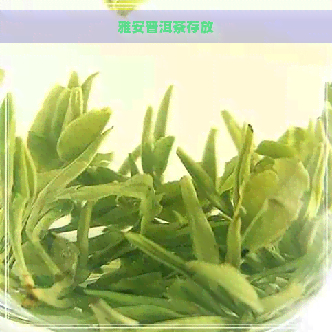 雅安普洱茶存放