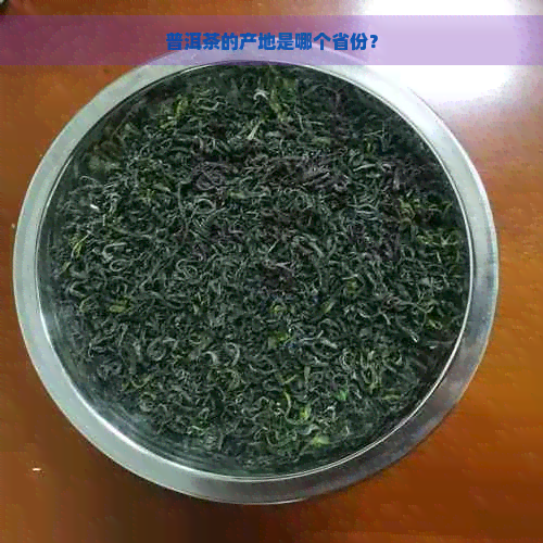 普洱茶的产地是哪个省份？