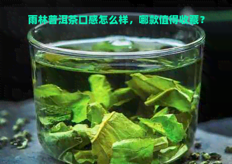 雨林普洱茶口感怎么样，哪款值得收藏？