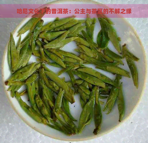 哈尼文化下的普洱茶：公主与茶区的不解之缘