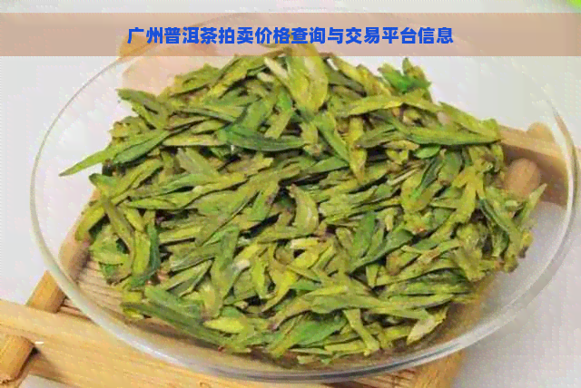 广州普洱茶拍卖价格查询与交易平台信息