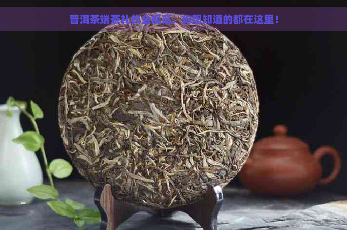 普洱茶端茶礼仪全规范，你想知道的都在这里！