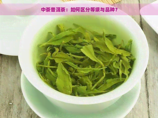 中茶普洱茶：如何区分等级与品种？