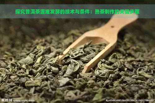 探究普洱茶渥堆发酵的技术与条件：熟茶制作的关键步骤