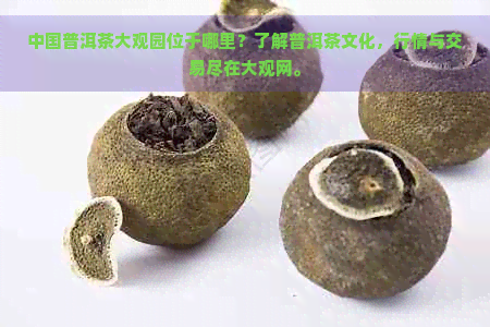 中国普洱茶大观园位于哪里？了解普洱茶文化，行情与交易尽在大观网。