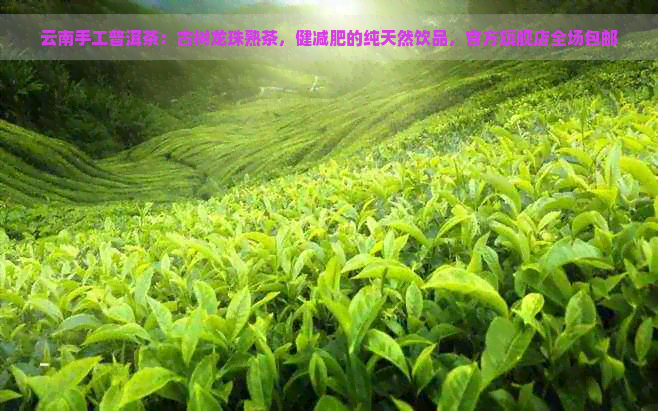 云南手工普洱茶：古树龙珠熟茶，健减肥的纯天然饮品，官方旗舰店全场包邮