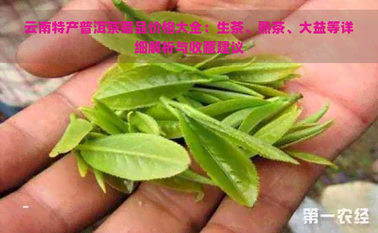 云南特产普洱茶藏品价格大全：生茶、熟茶、大益等详细解析与收藏建议