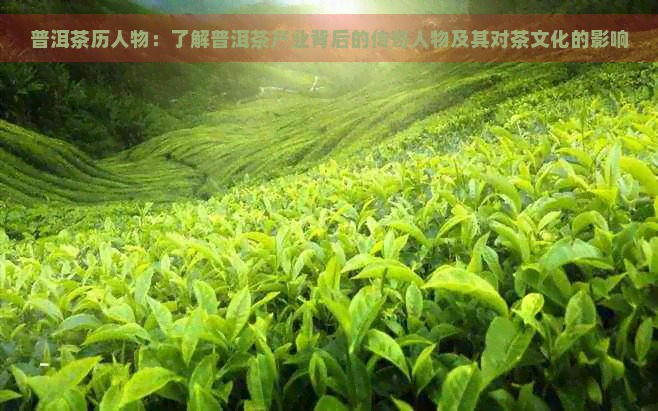 普洱茶历人物：了解普洱茶产业背后的传奇人物及其对茶文化的影响